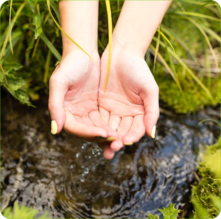 Hands collecting naturally sourced spring water